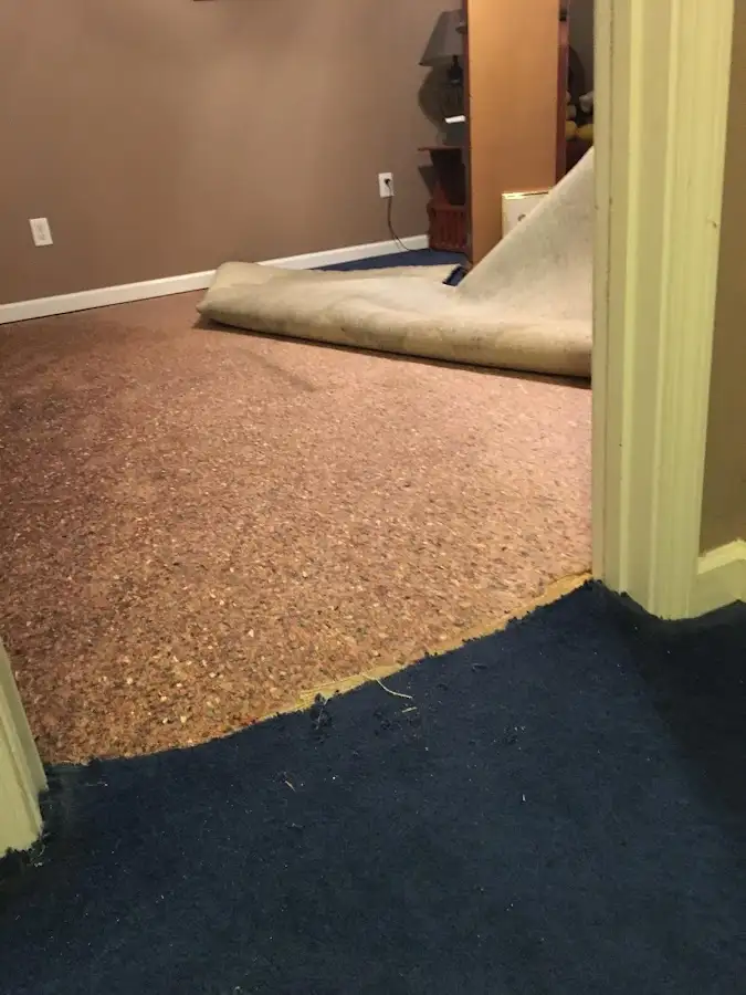 Carpet pad removal revealing water damage during Drying & Dehumidification in West Pleasant View