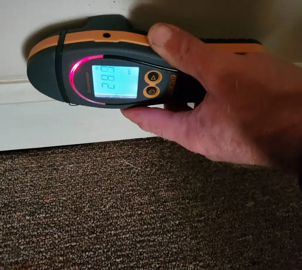 Moisture detection at baseboard during Sewage Cleanup & Sanitation in West Pleasant View